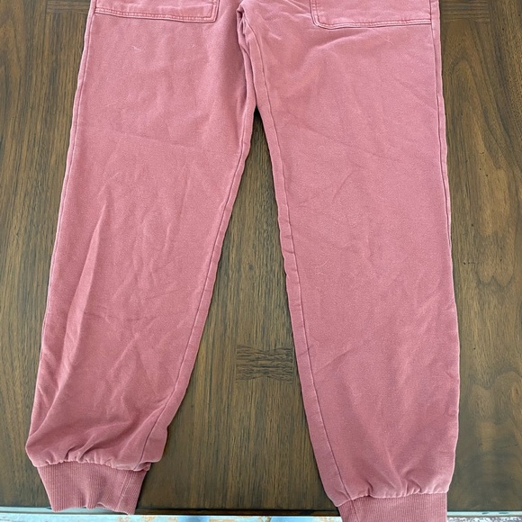 Marine Layer Joggers in Rose Size Medium - Picture 10 of 11